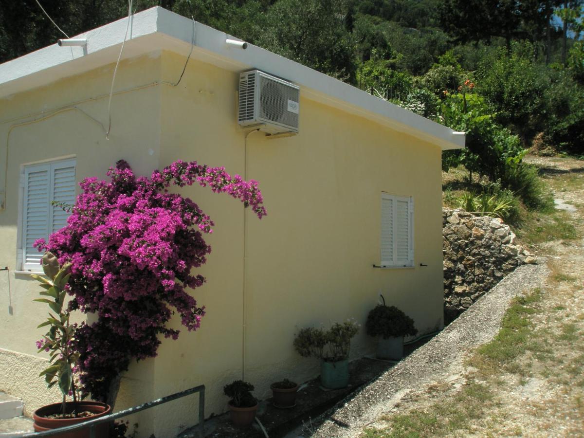 Faliraki Apartments Benitses  Exteriör bild